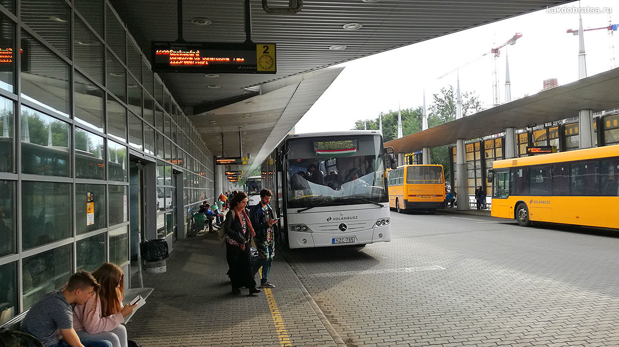 Автовокзал Неплигет в Будапеште