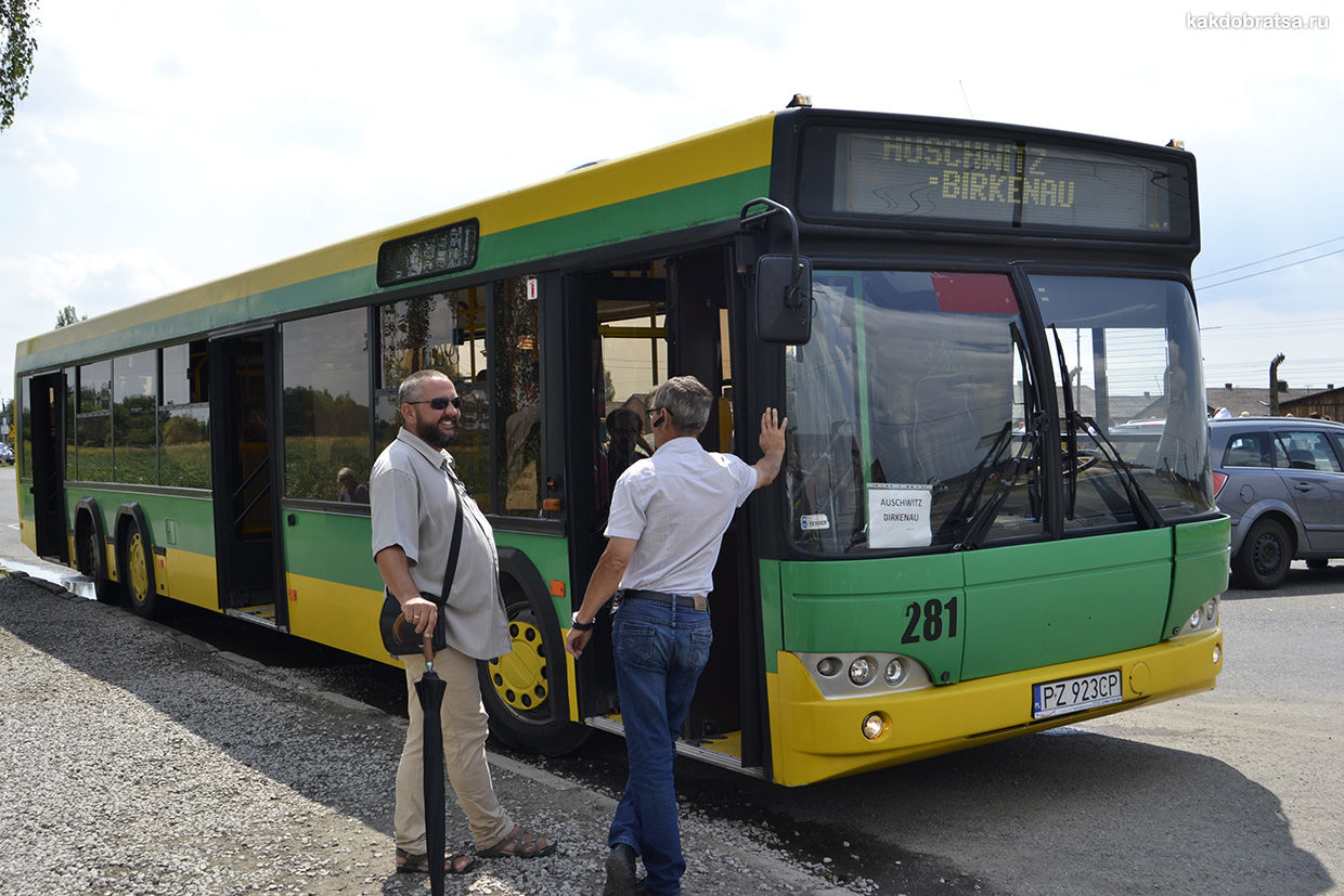 Бесплатный автобус в Освенциме 