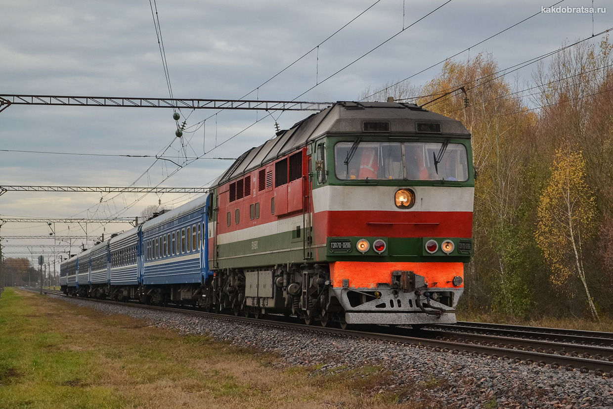 Поезд из Москвы в Геленджик