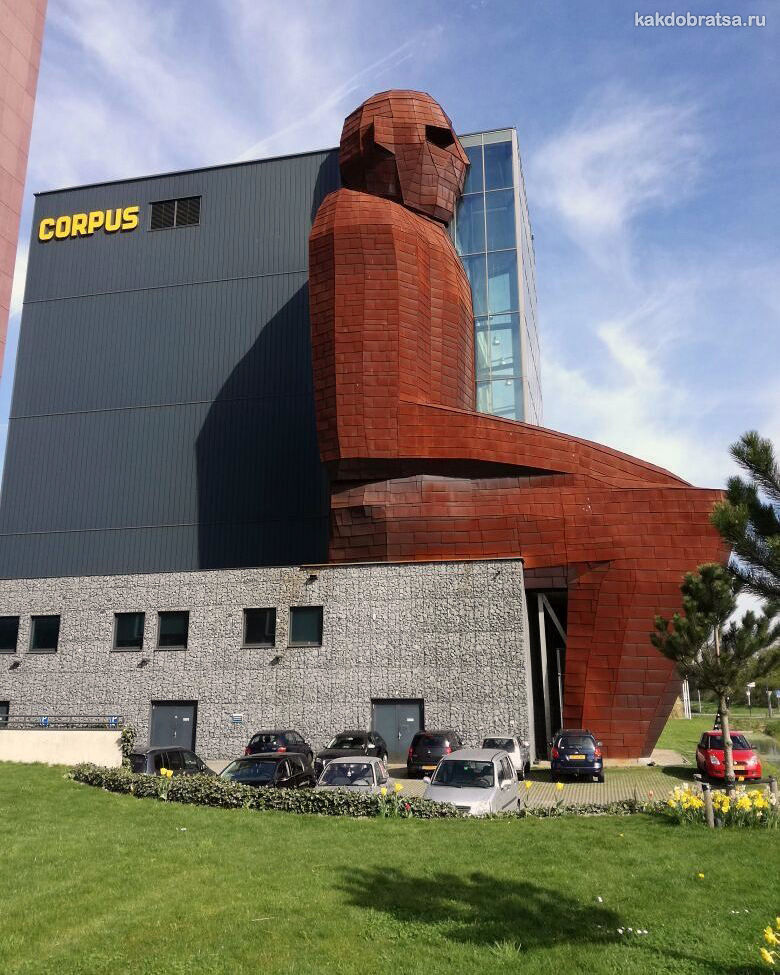 Лейден музей Corpus