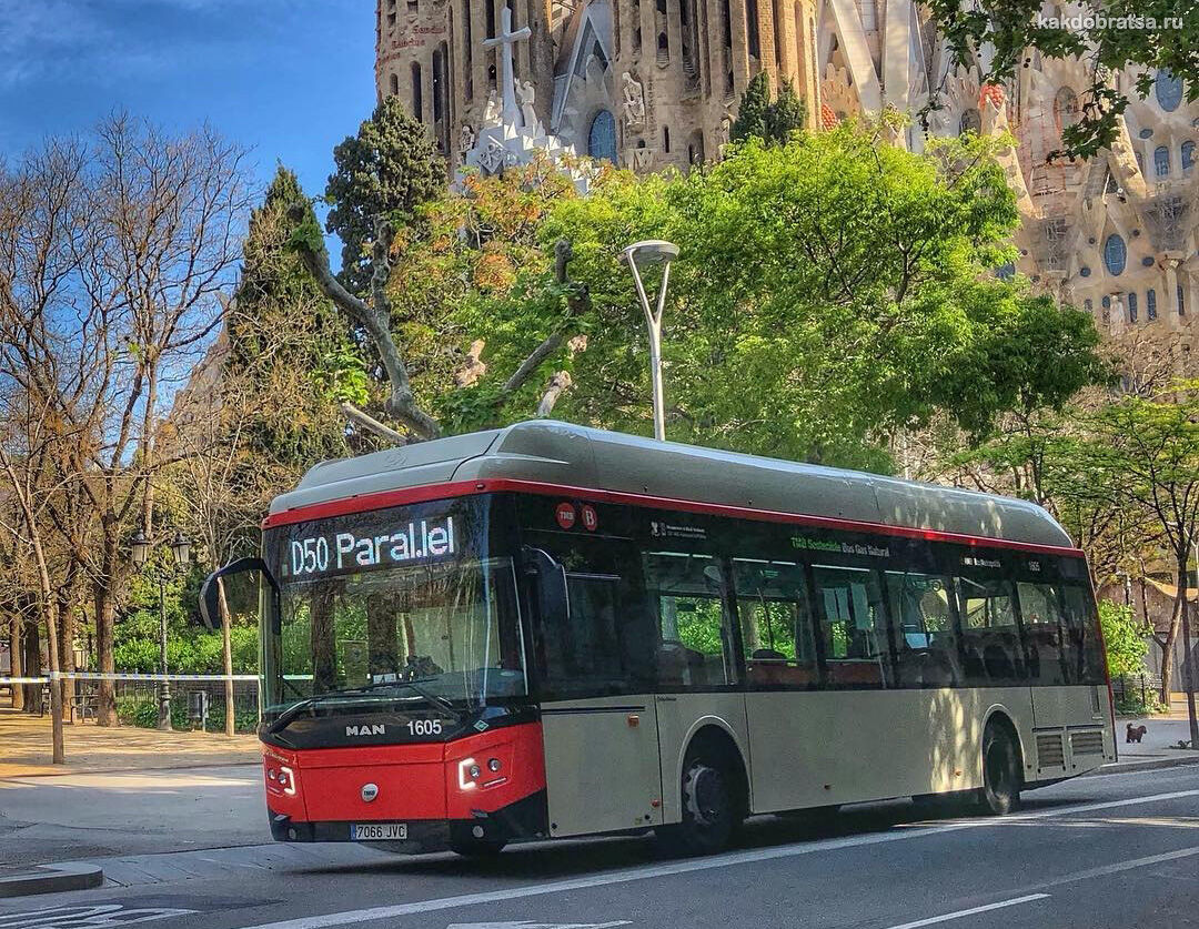 Городской автобус в Барселоне