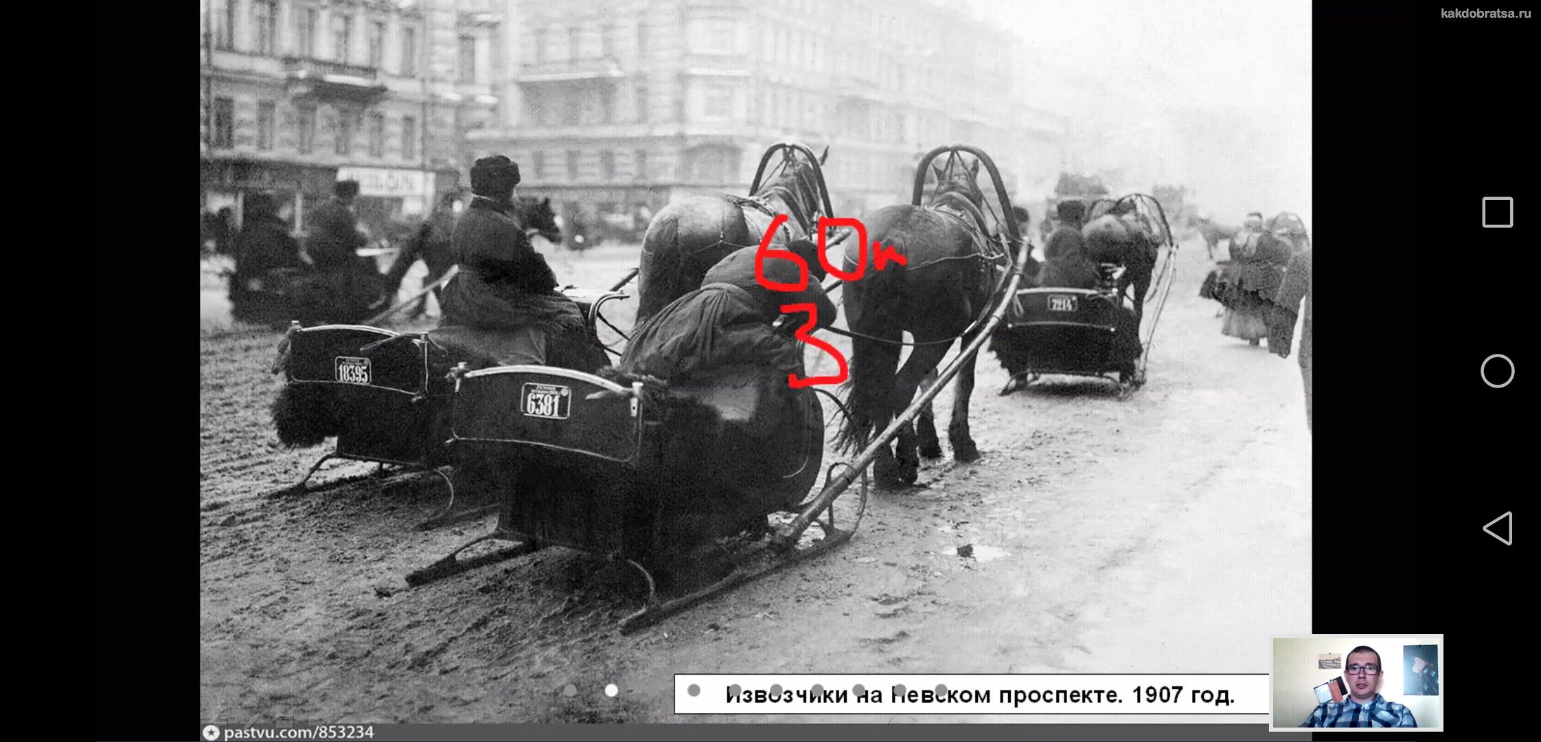 Перевозки на лошадях в дореволюционном Ленинграде