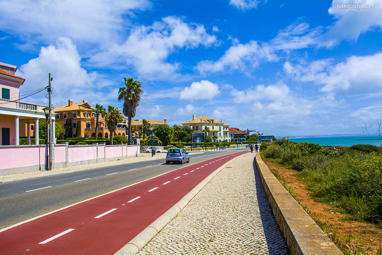 Дороги и правила дорожного движения в Португалии