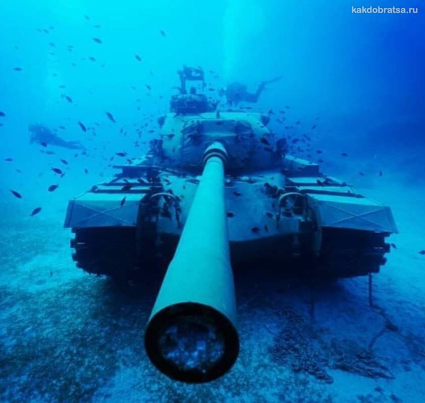 Интересный дайвинг в Турции с танком под водой