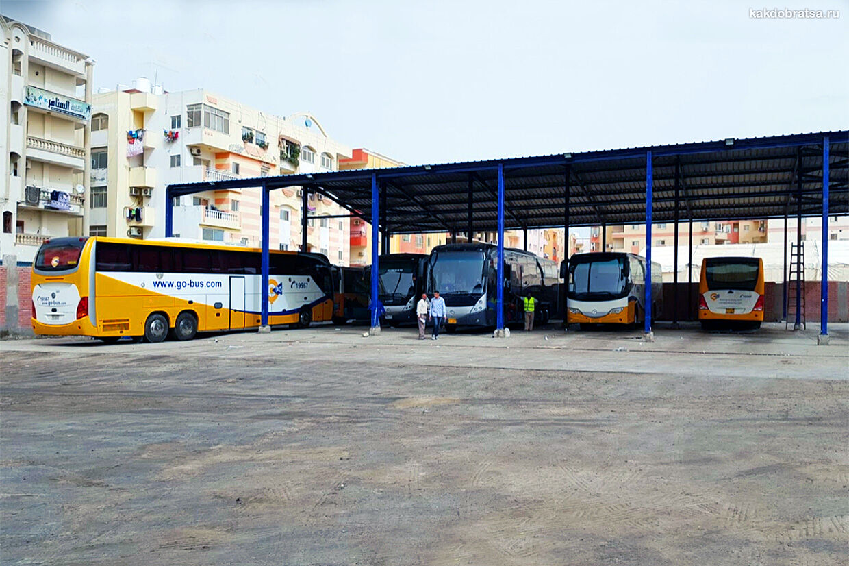 Автобус из Каира в Хургаду добираемся дешево