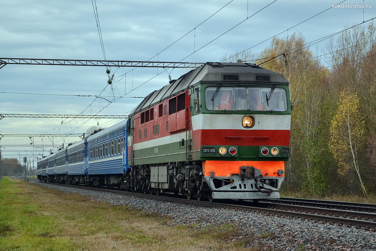 Поезд из Брянска в Крым
