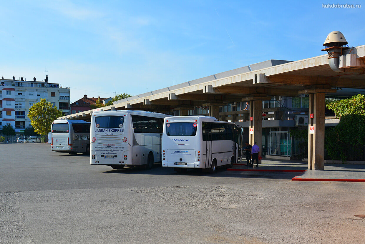 Автобус из Будвы в Подгорицу