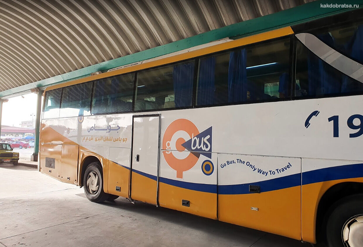 Автобус из Каира в Александрию