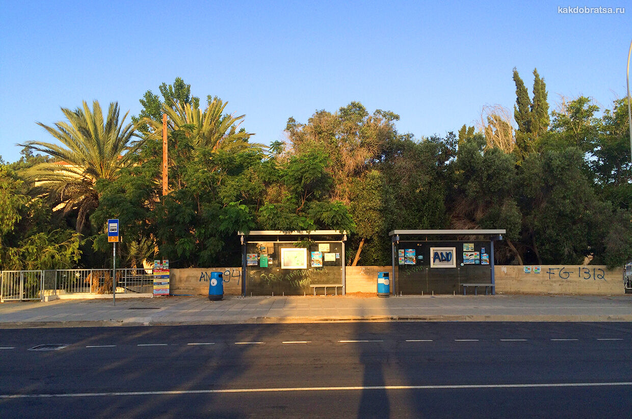 Автобус в Протарасе, Кипр