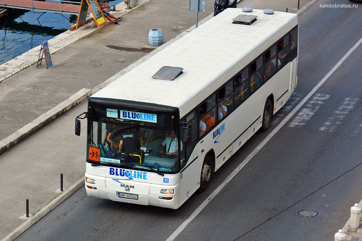 Автобус из Тивата в Котор, Будву, Бар, Подгорицу