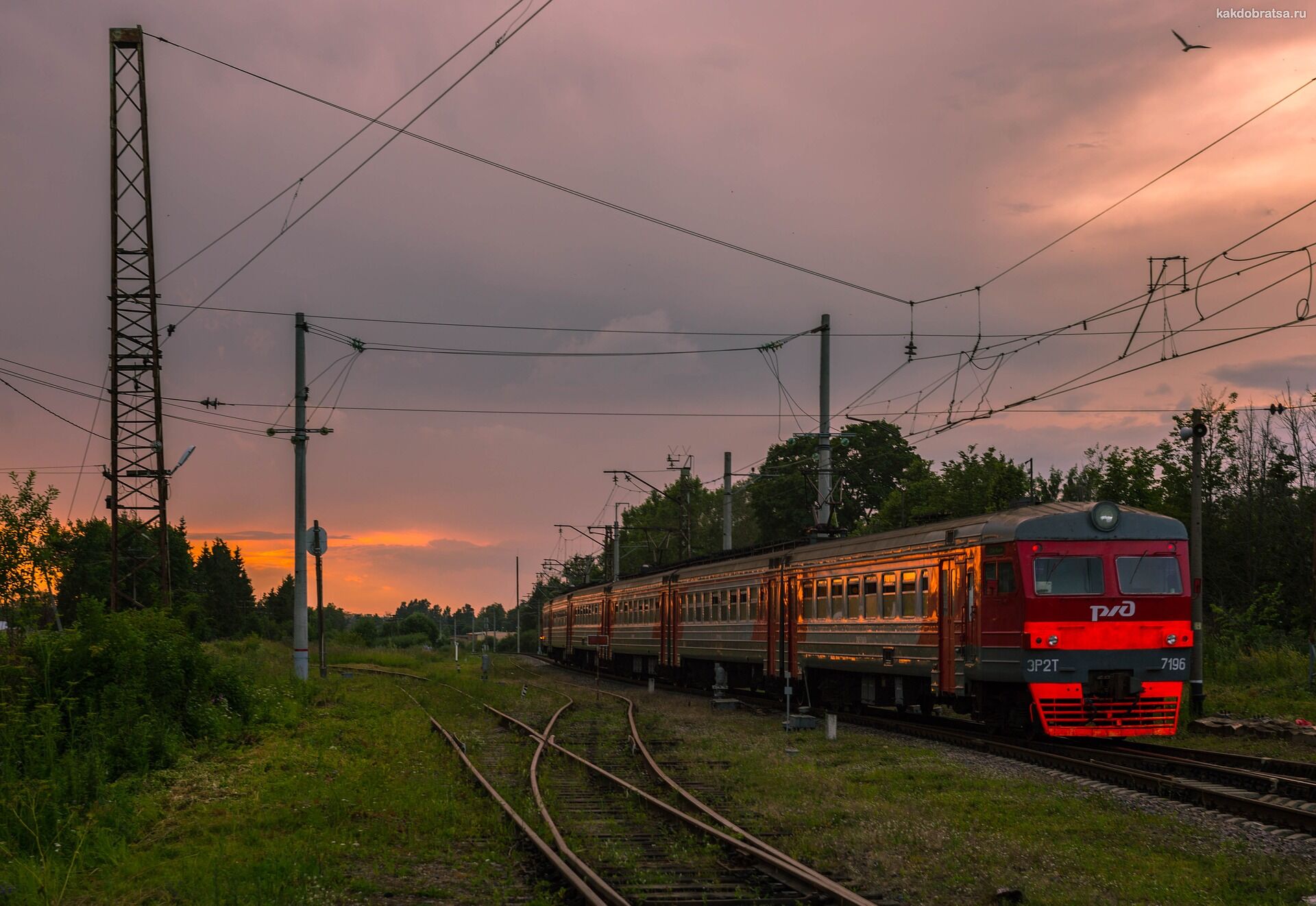 Поезд из Тольятти в Самару