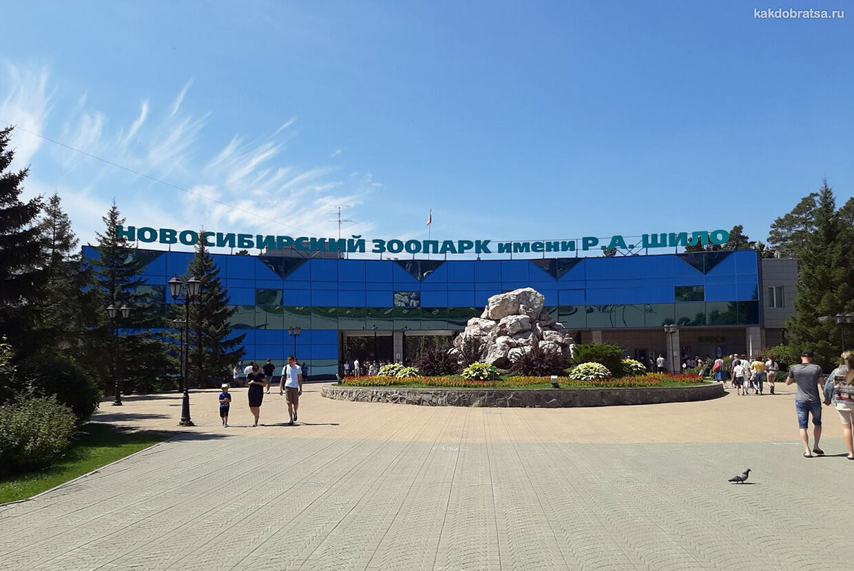 Новосибирский зоопарк стоимость входных билетов онлайн и время работы