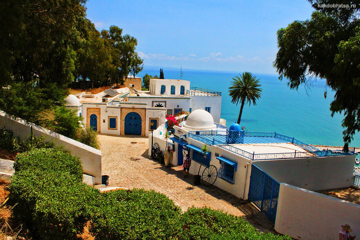 Лучшие курорты Туниса как добраться