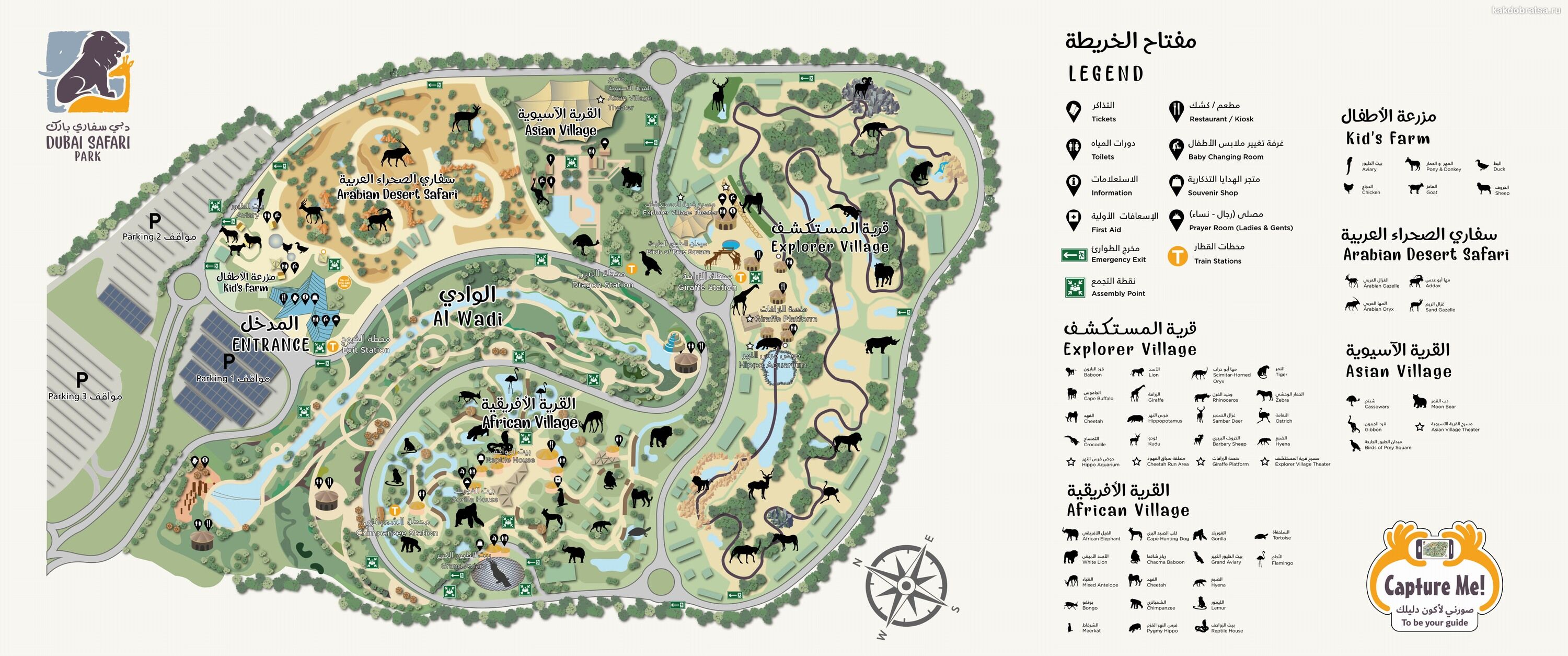 Карта Сафари Парка в Дубае