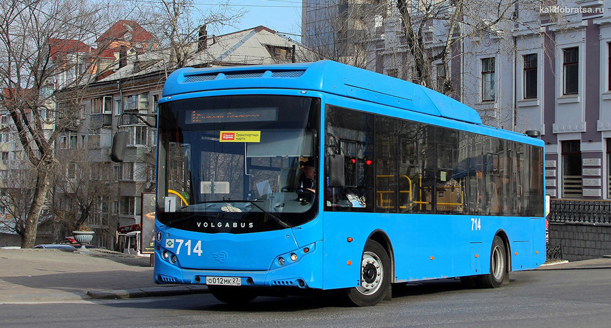 Автобус из аэропорта Хабаровска