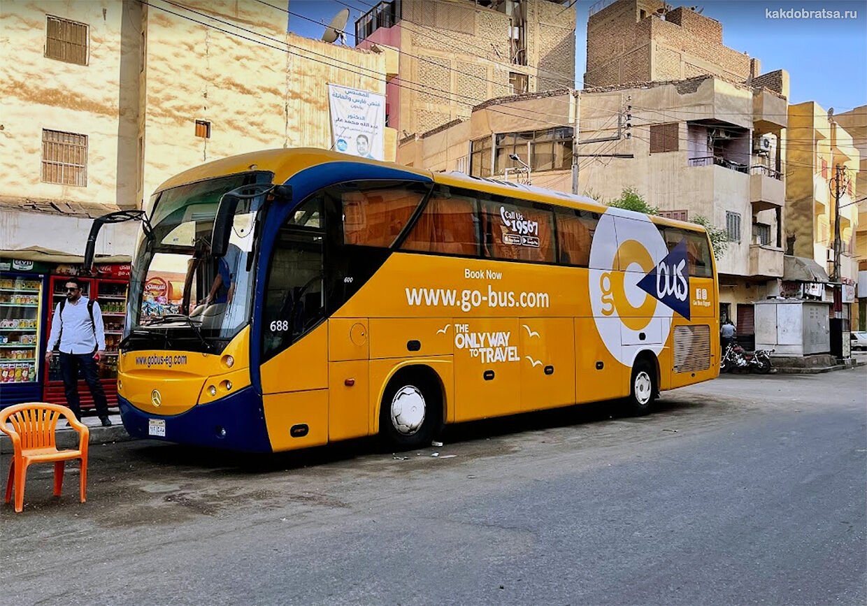 Автобус из Каира в Луксор