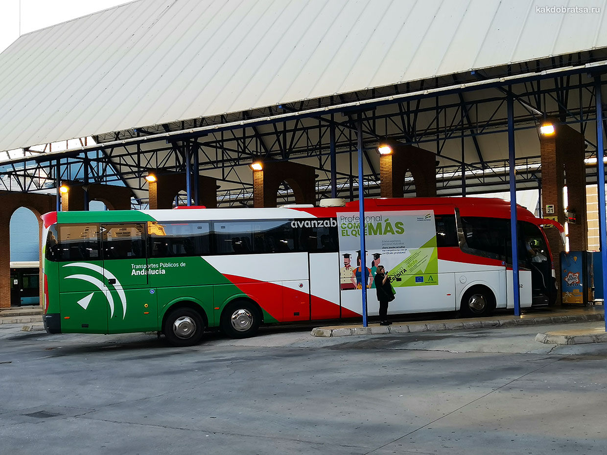 Автобус из Малаги в Марбелью