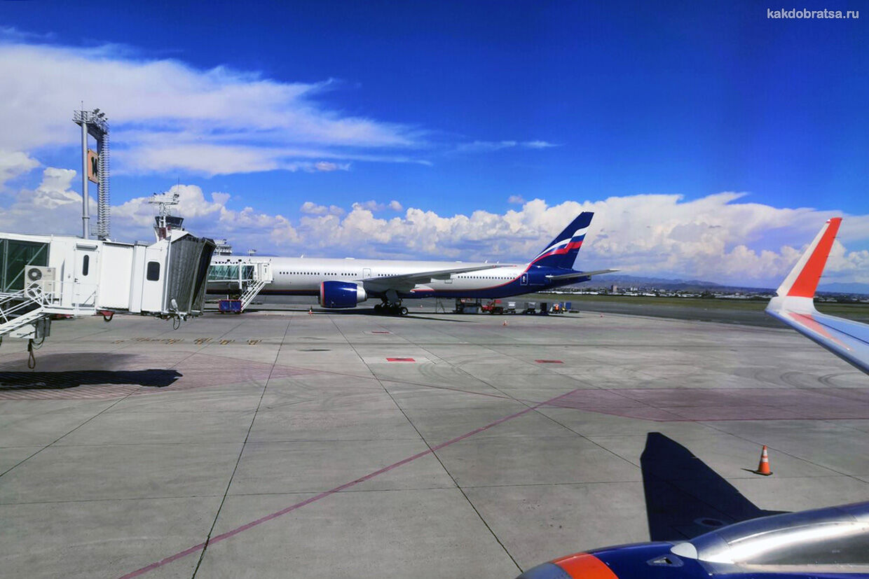 Перелет и авиабилеты из Сочи в Ереван