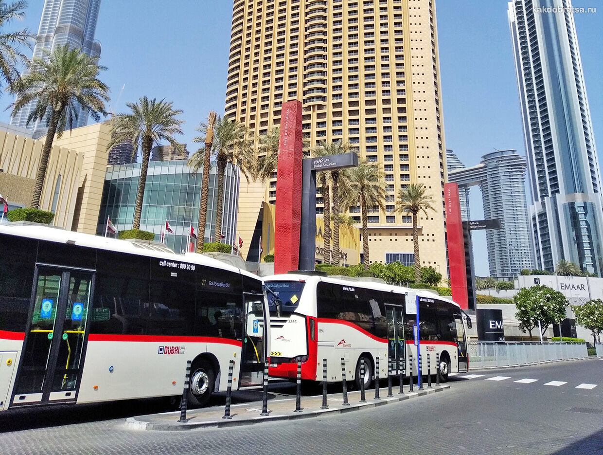 Автобус до Дубай Молл