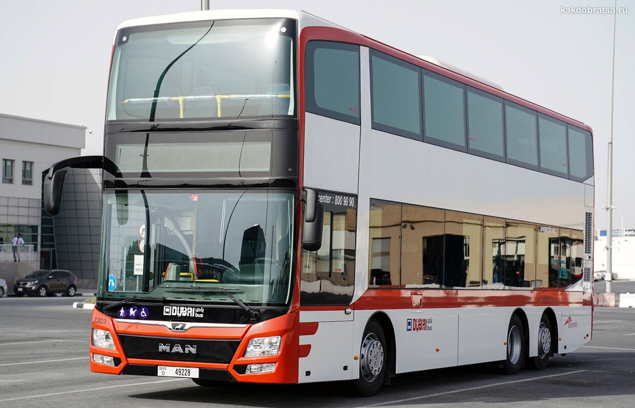 Автобус из Аджмана в Дубай