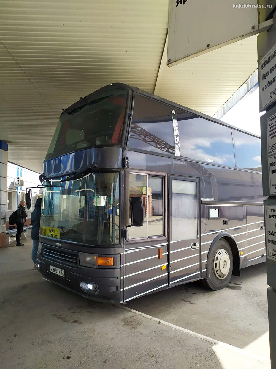 Автобус из Бийска до Белокурихи