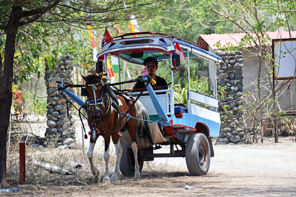 Транспорт на островах Гили