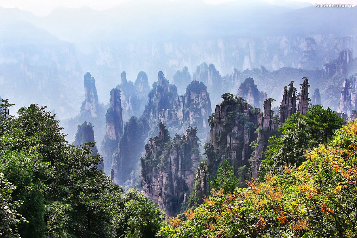 Горы Аватара в Китае