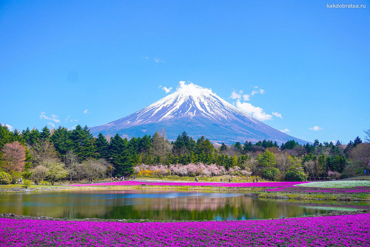Фудзияма самый известный вулкан в Японии фото