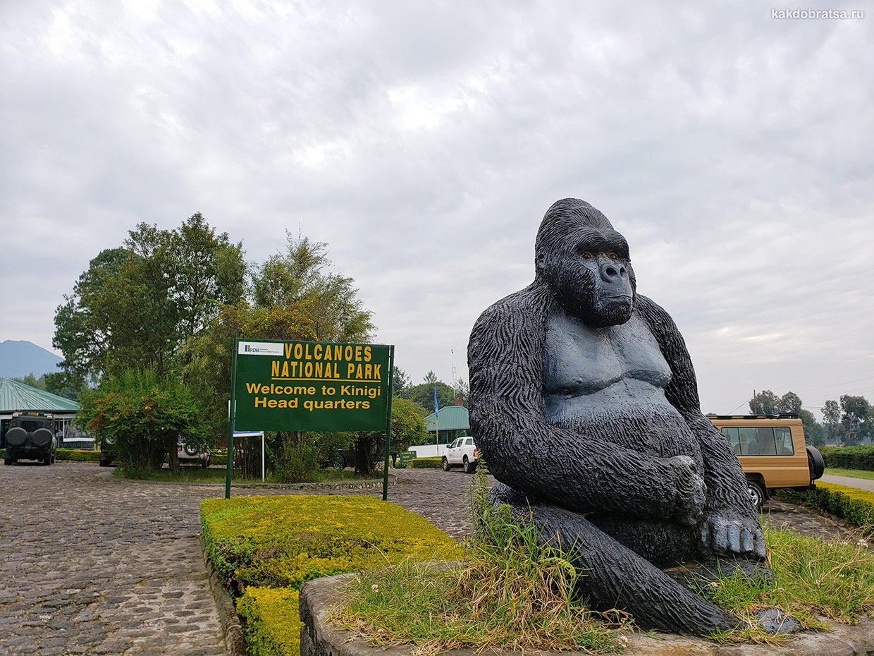 Национальный парк Вулканов с гориллами в Руанде
