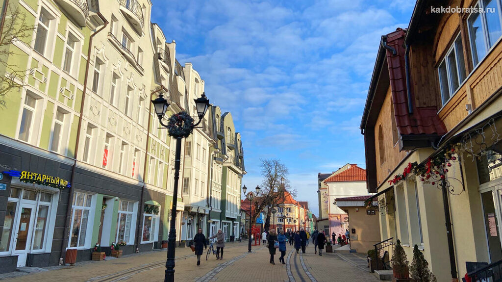 Мидгард зеленоградск фото