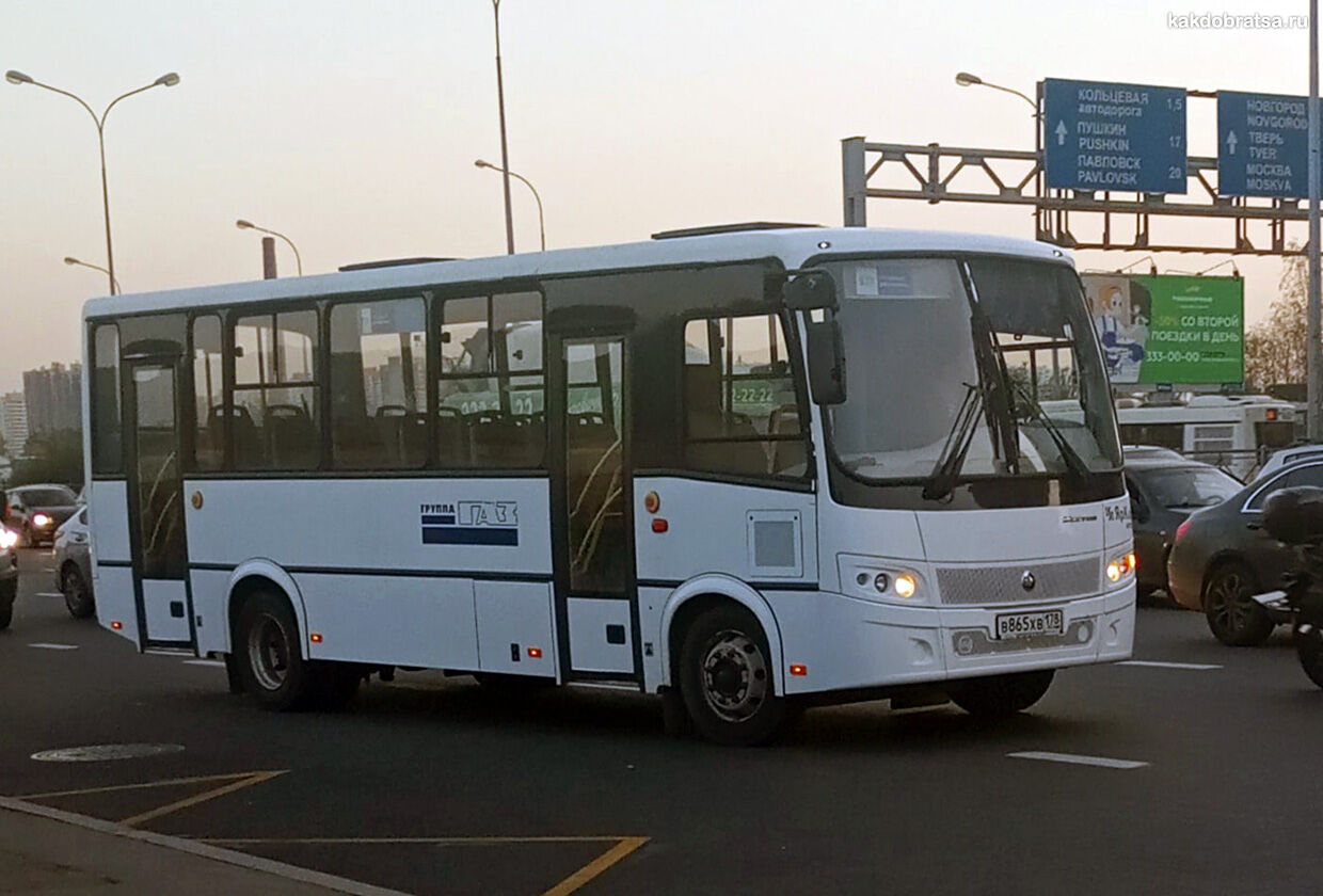 Автобус 187 Пушкин. Автобус Пушкин. Автобус 382 Пушкин. 451 Автобус Пушкино.
