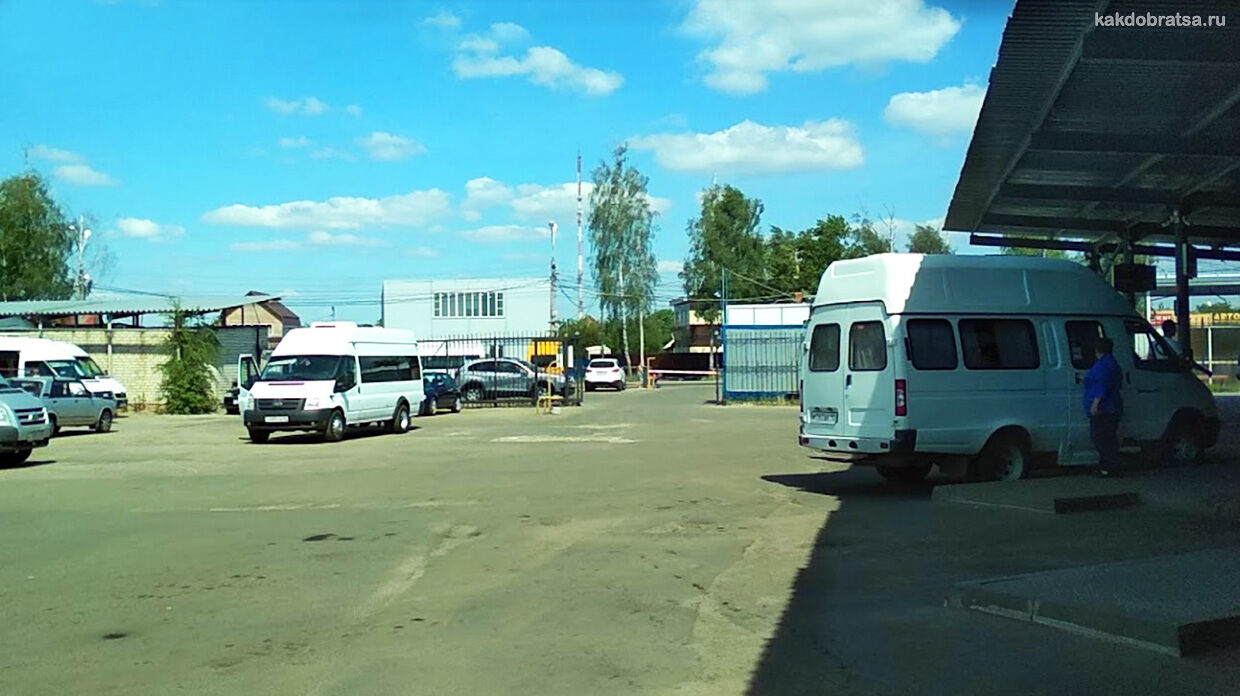 Курск автовокзалы с официальным сайтом и телефоном