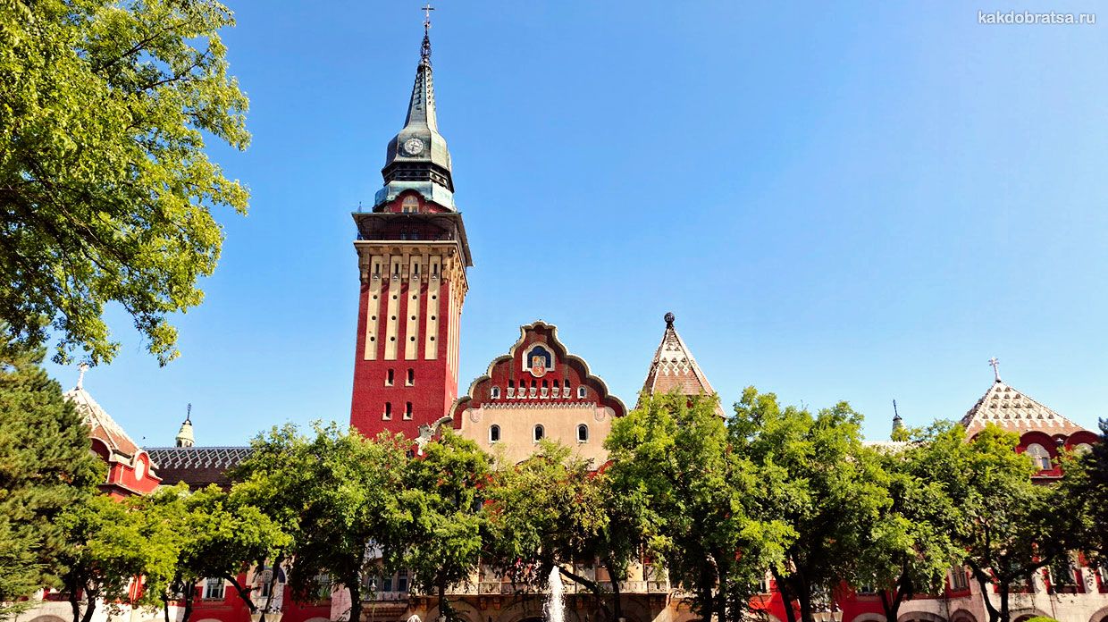 50 идей куда съездить из Белграда на один день