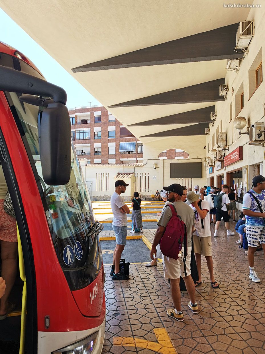 Торревьеха купить билеты