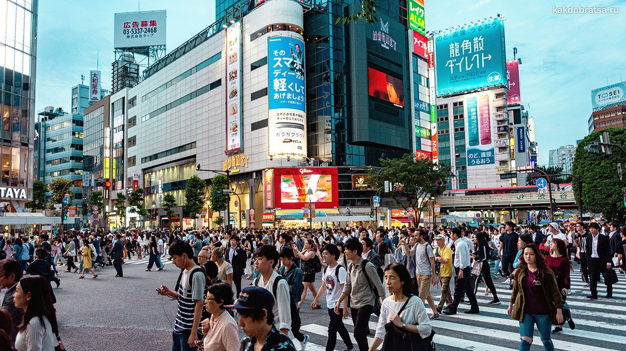 🇯🇵 30 идей, что обязательно сделать туристу в Токио